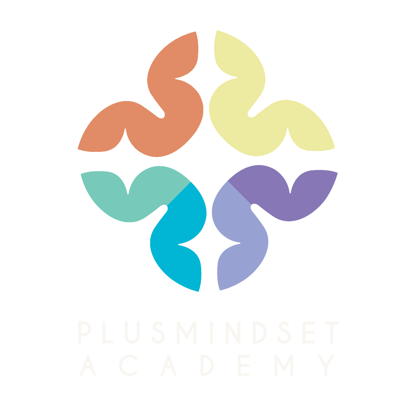 Plus Mindset Academy